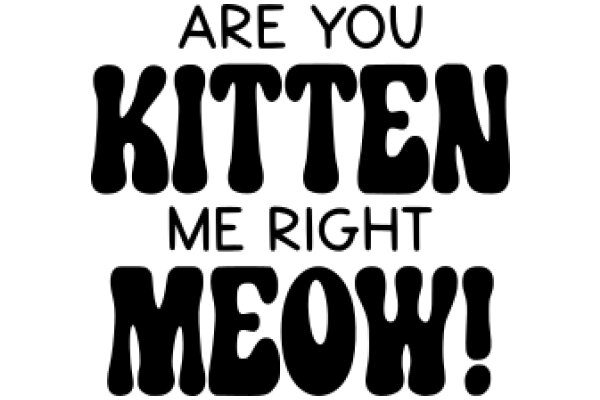 Are You Kitten Me Right Meow?