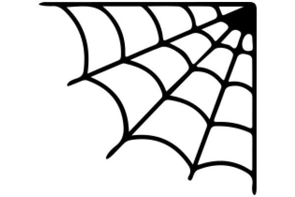 Spider Web Design