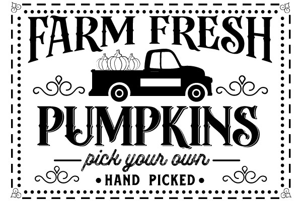 Farm Fresh Pumpkins: Pick Your Own, Hand Selected