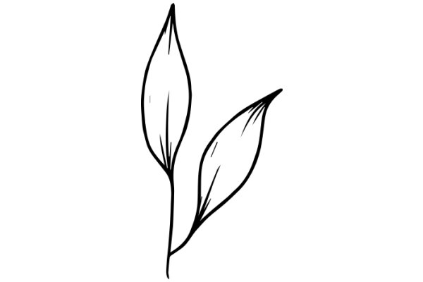 Simplistic Line Drawing of a Flower