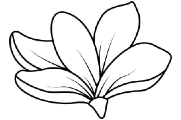 Stylized Line Drawing of a Banana Flower