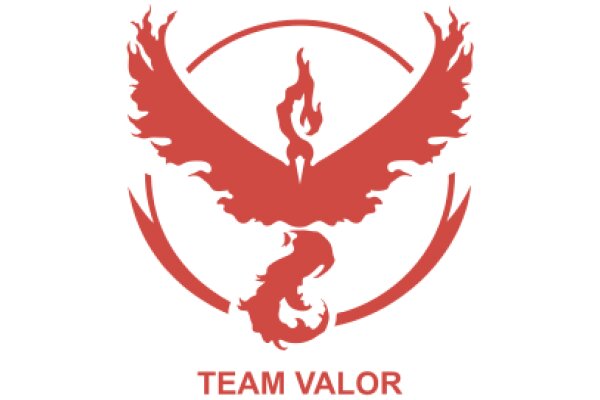 Team Valor: A Symbol of Strength and Unity