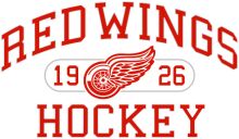 Red Wings Hockey: 19 Years of Glory