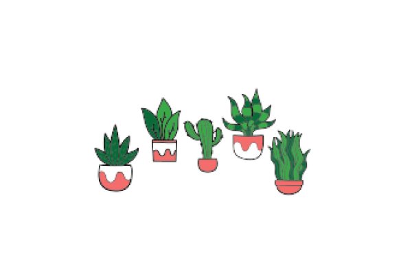 A Collection of Cactus Pots in Different Styles