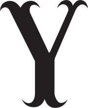 Simplistic Black Letter 'Y' on a White Background