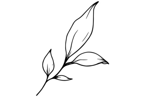 Simplistic Line Drawing of a Leaf