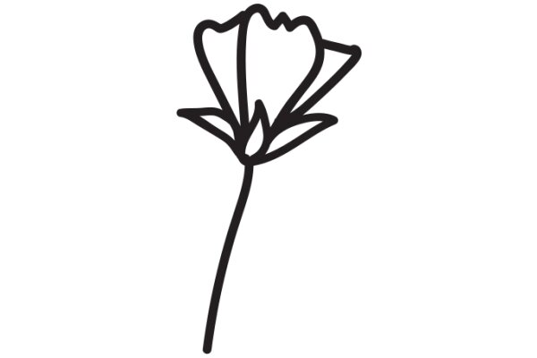 A Single Flower in a White Background