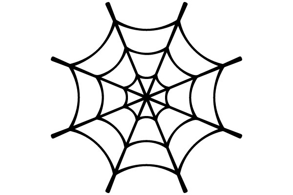 Spider Web Design