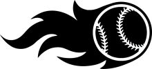 Black and White Baseball Logo with Flames Design