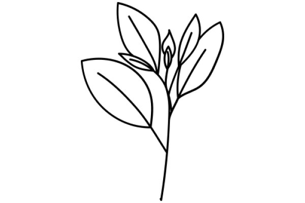 A Simple Line Drawing of a Flower