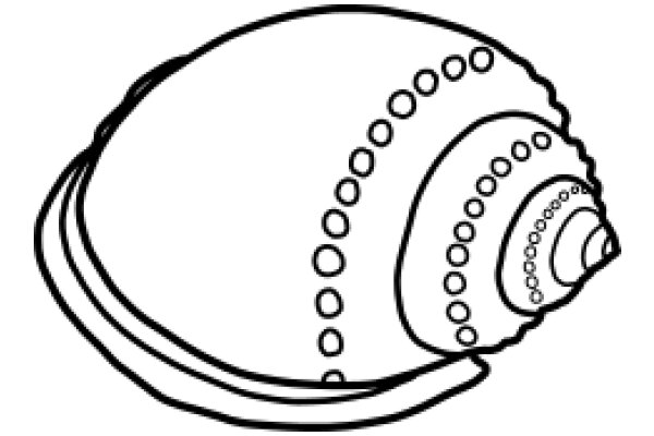 A Simple Line Drawing of a Snail Shell