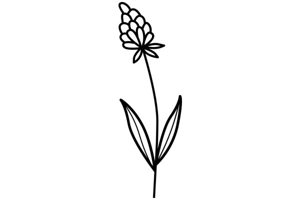 Simplistic Line Drawing of a Flower