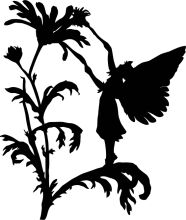 Silhouette of a Butterfly and a Plant