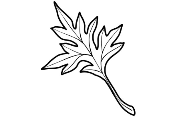 Stylized Maple Leaf Illustration