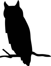 Silhouette of an Owl Perched on a Branch