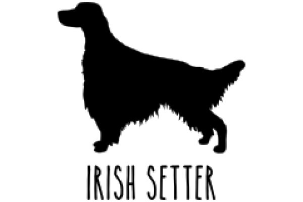 Irish Setter Silhouette