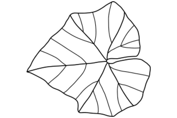 Simplistic Line Drawing of a Leaf