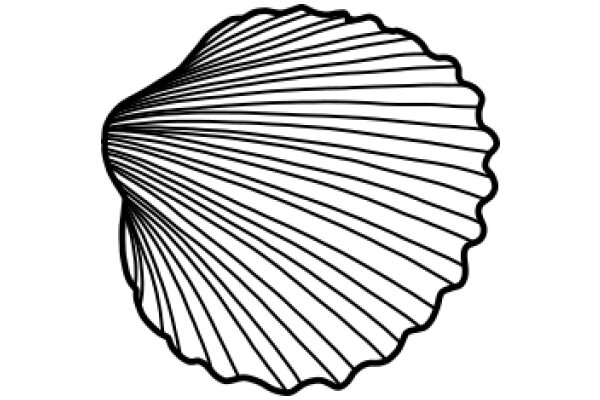 Stylized Seashell Illustration