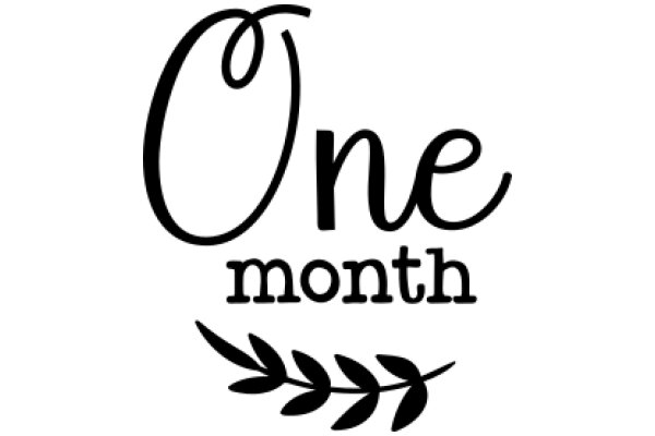 One Month: A Graphic Design Project