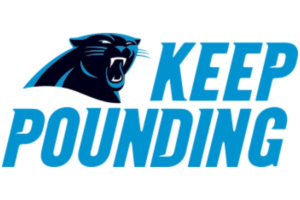 Keep Pounding: The Official Motto of the Carolina Panthers