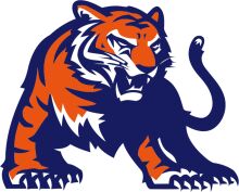 Vivid Orange and Blue Tiger Logo