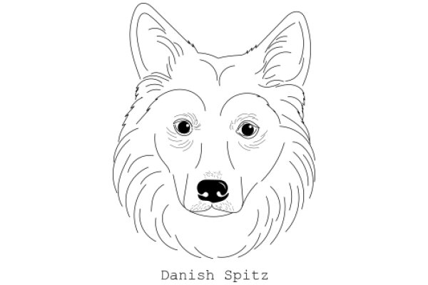 Danish Spitz: A Portrait of a Loyal Companion