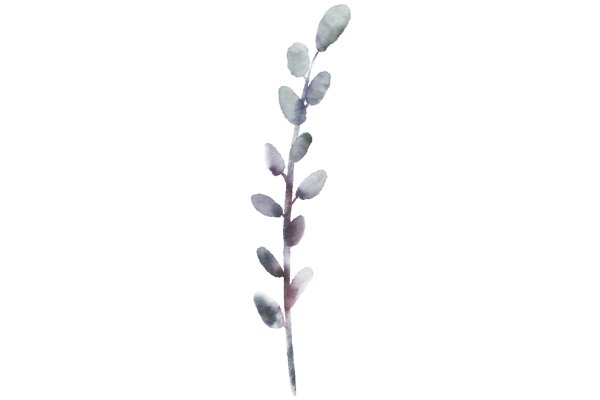 Elegant Watercolor Art: A Single Stem with Leaves