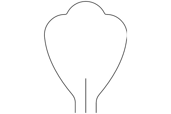 Simplified Line Drawing of a Flower-like Shape