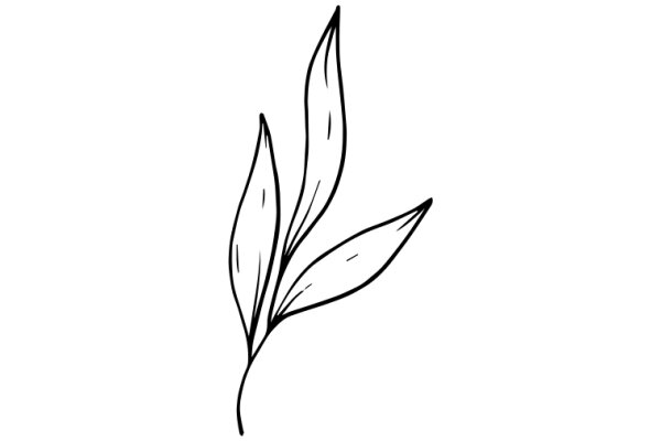 Simplicity in Art: A Line Drawing of a Leaf