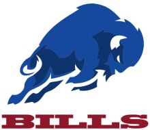 Stylized Bull Logo with the Word 'BILLS' Below