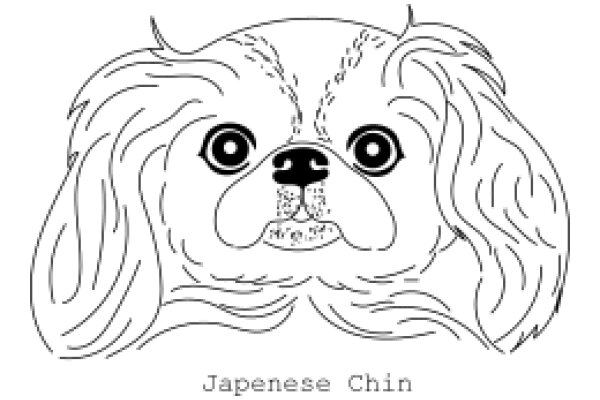 Japanese Chin: A Line Drawing