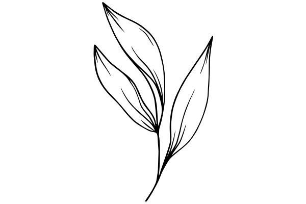 Simplistic Line Drawing of a Leaf