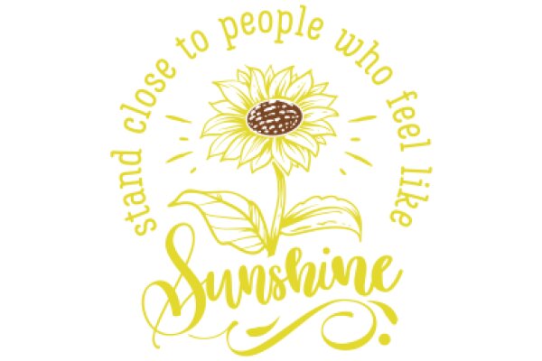 Sunshine: A Symbol of Happiness and Positivity