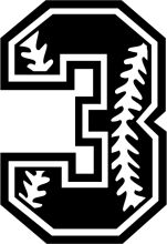 Stylized Number Three with Baseball Logo