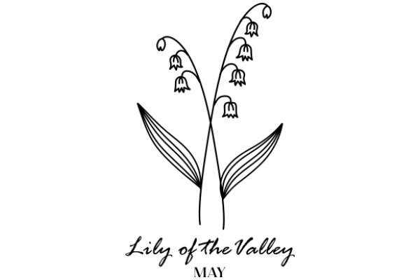 Lily of the Valley: A Symbol of May