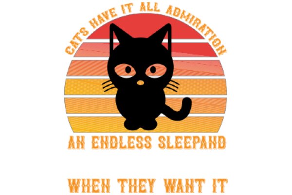 An Endless Sleep: A Cat's Perspective on the Universe