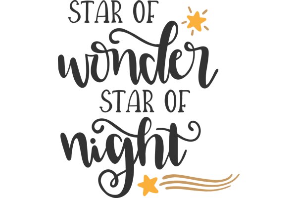 A Night of Wonder and Starlight