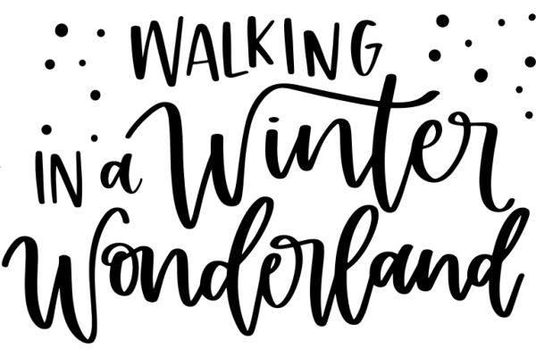 Winter Wonderland: A Journey Through the Seasons