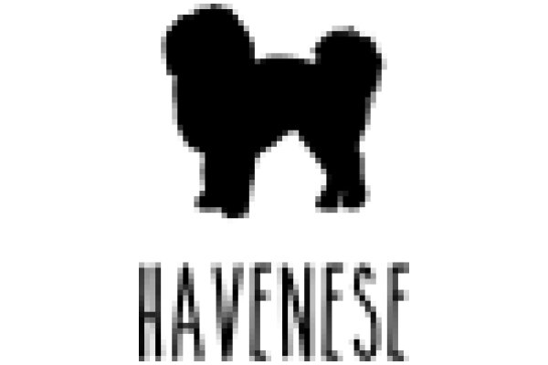 A Silhouette of a Dog with the Word 'Havenese' Below It