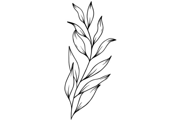 Stylized Line Drawing of a Plant with Leaves and Flowers