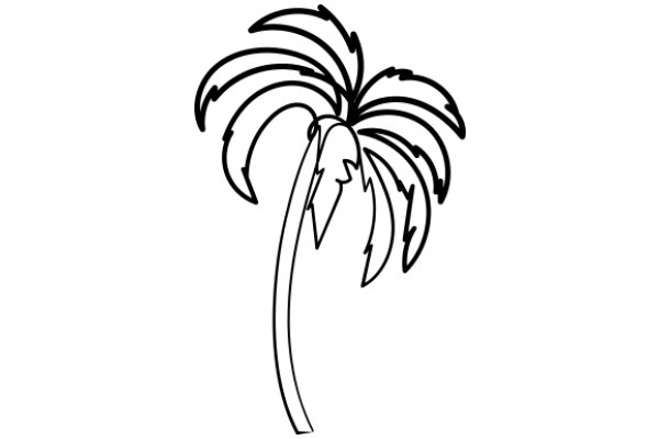 A Simple Line Drawing of a Palm Tree