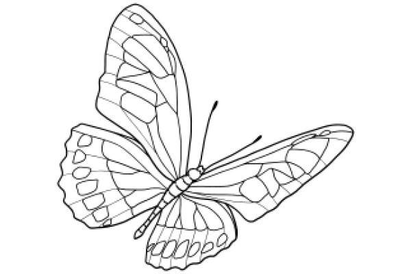 Stylized Butterfly Line Art