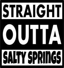 Straight Outta Salt Springs: A Journey Through the Heart of the American Southwest