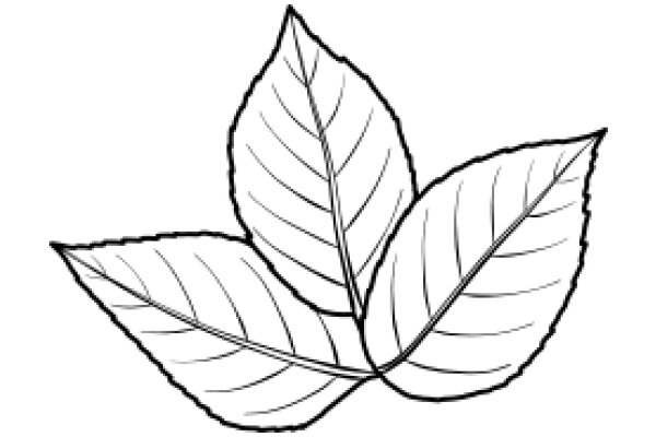 Simplistic Line Drawing of a Leaf