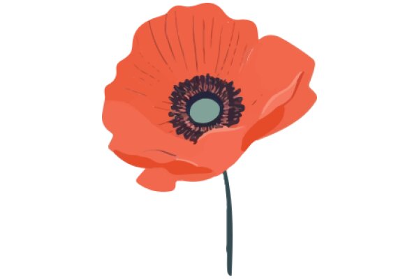 A Vibrant Red Poppy Flower Illustration