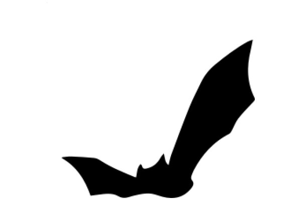 Silhouette of a Bat in Flight