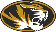 Vivid Logo of a Tiger's Head in Black and Gold