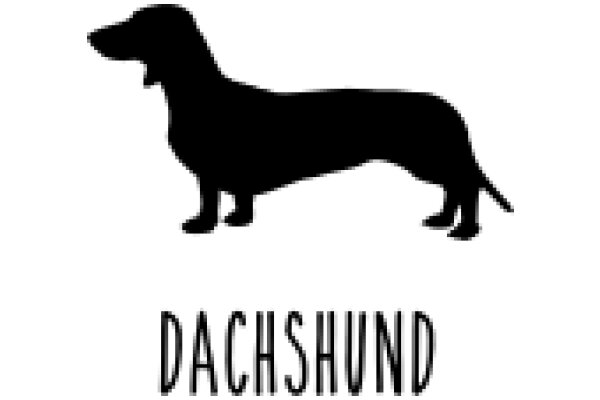 Dachshund: The Iconic Silhouette