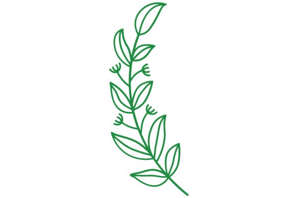 Simplistic Green Line Drawing of a Plant