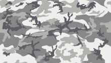 Camouflage Pattern: A Close-up View of a Gray and White Textile